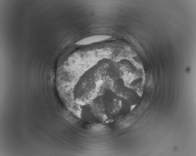 X0000116790669201001151103