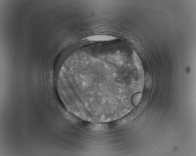 X0000116790670201001151103