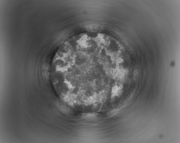 X0000116790671201001151103