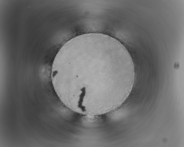 X0000116790672201001151103
