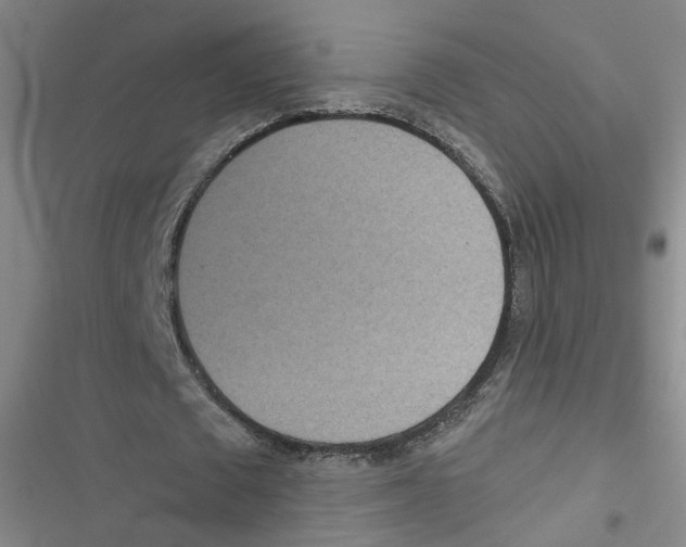 X0000116790673201001151102