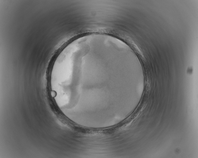 X0000116790674201001151102
