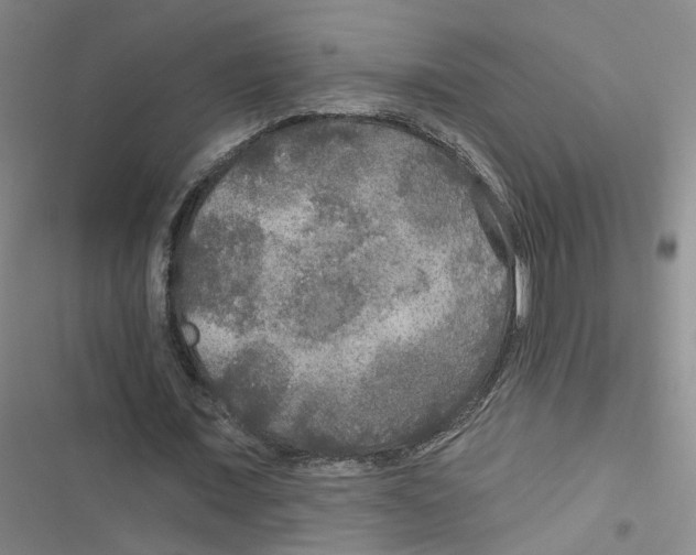 X0000116790675201001151102
