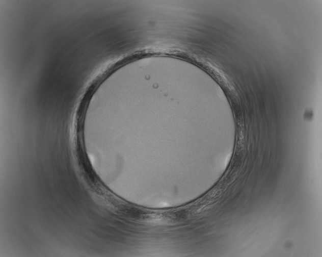 X0000116790678201001151102