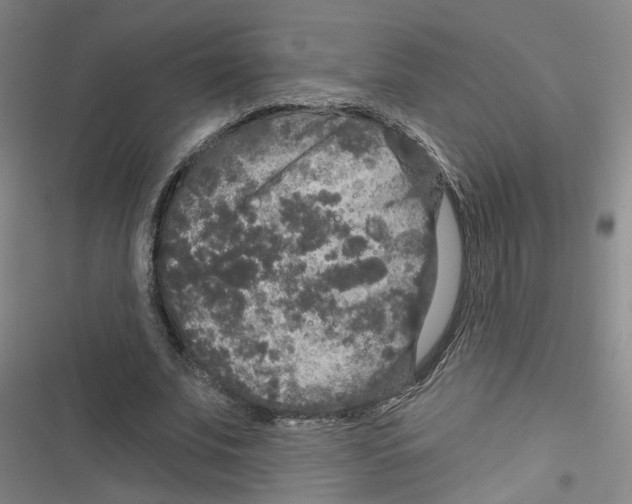 X0000116790679201001151102