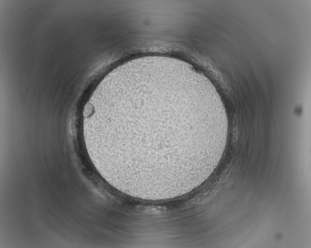 X0000116790683201001151102