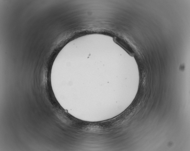 X0000116790685201001151102