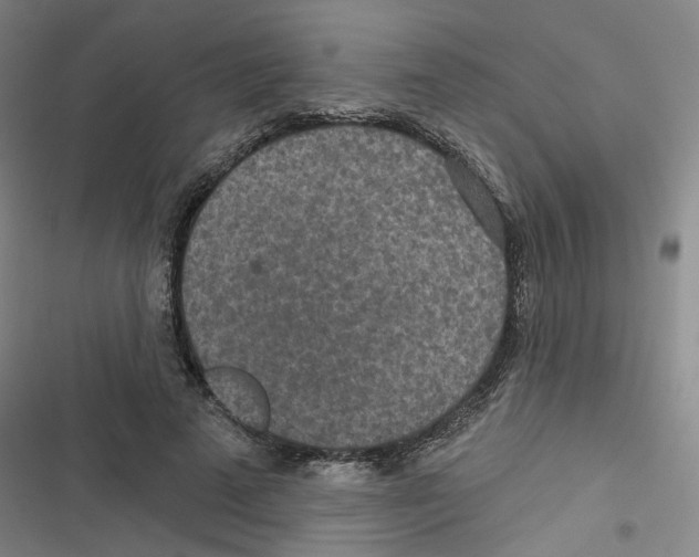 X0000116790689201001151102