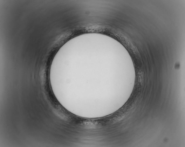 X0000116790690201001151102