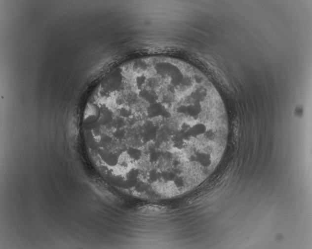 X0000116790691201001151102