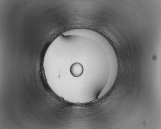 X0000116790693201001151102