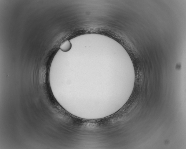 X0000116790694201001151102