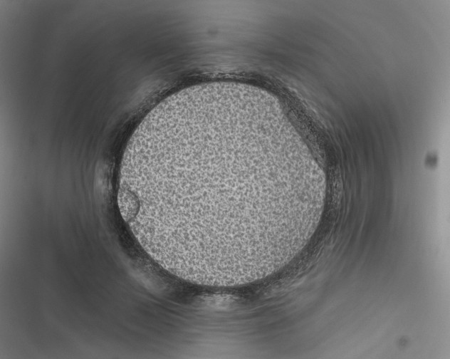 X0000116790695201001151102