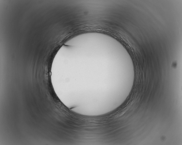 X0000116790700201001151102