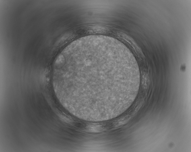 X0000116790701201001151102