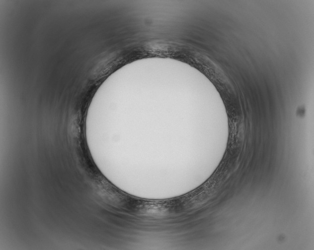 X0000116790702201001151102