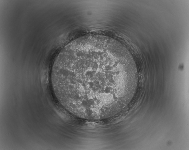 X0000116790703201001151102