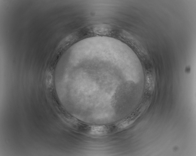X0000116790705201001151102
