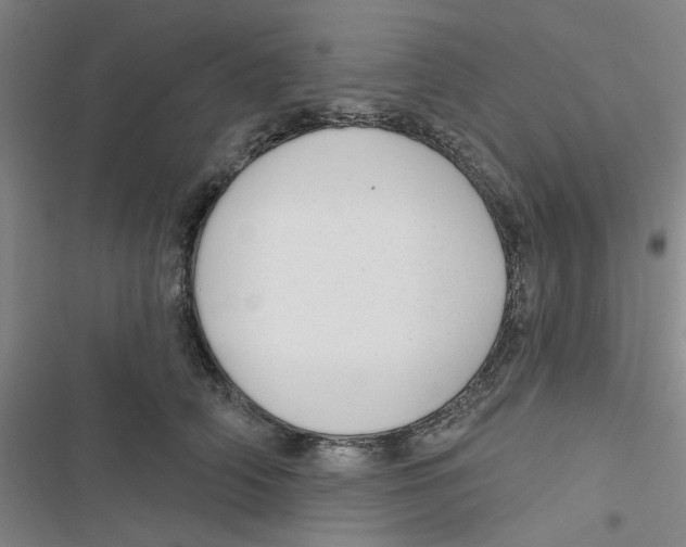 X0000116790706201001151102