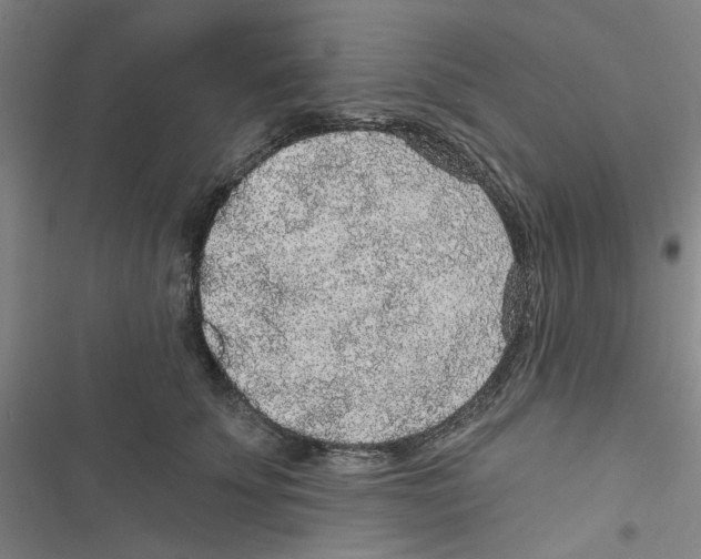 X0000116790707201001151102