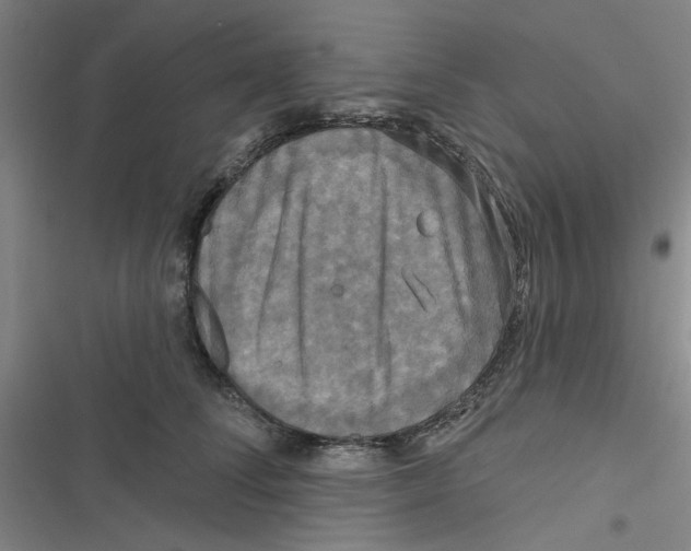 X0000116790708201001151102
