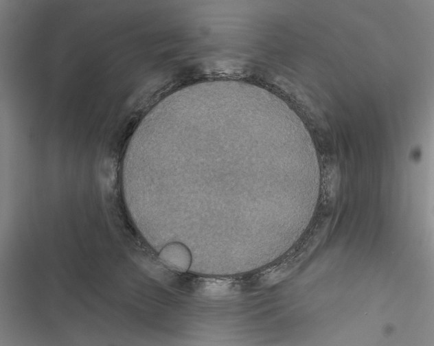 X0000116790709201001151102