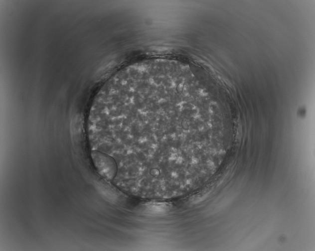X0000116790711201001151102