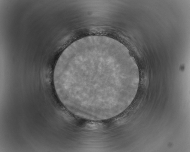 X0000116790712201001151101