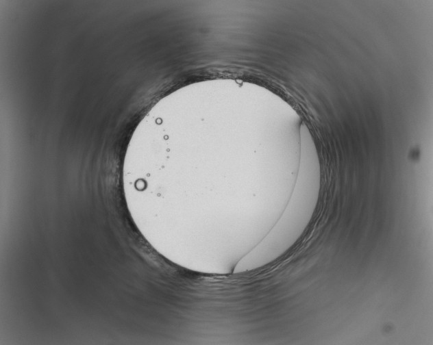 X0000116790713201001151101