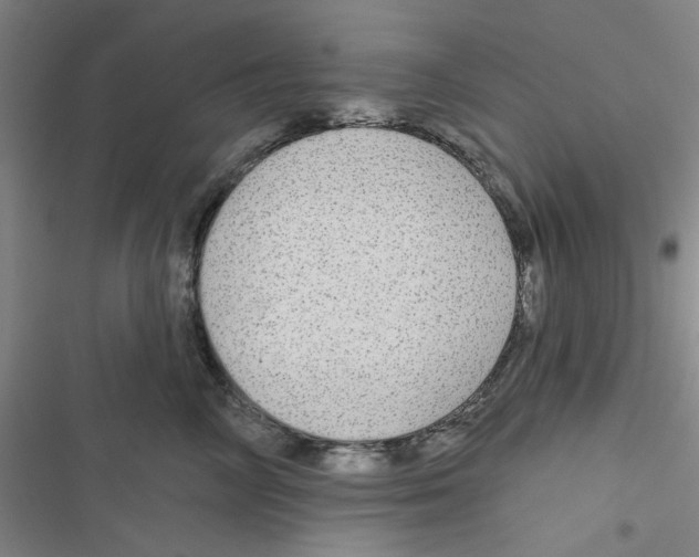 X0000116790714201001151101