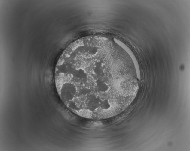 X0000116790715201001151101