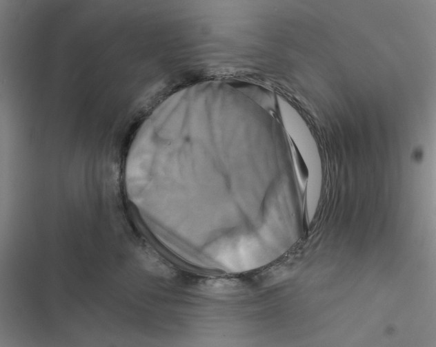 X0000116790716201001151101