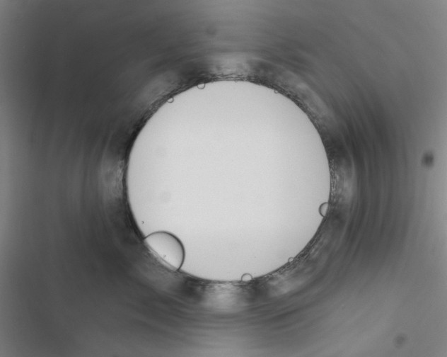 X0000116790717201001151101