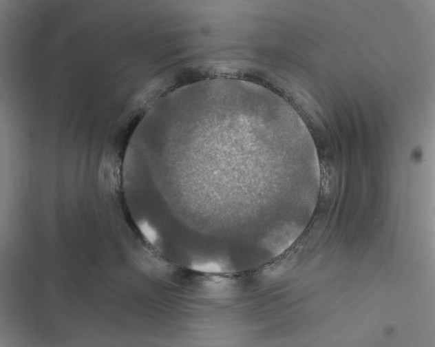 X0000116790718201001151101