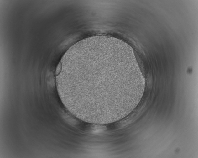 X0000116790719201001151101