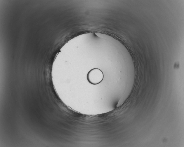 X0000116790720201001151101