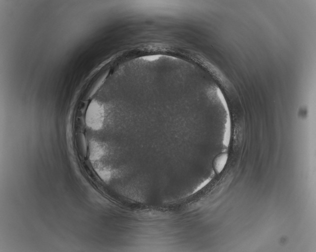 X0000116790722201001151101