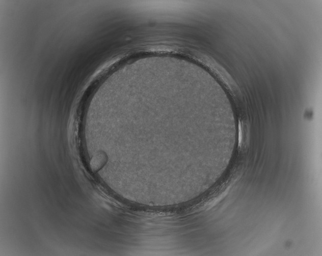 X0000116790723201001151101
