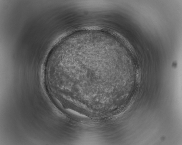 X0000116790725201001151101