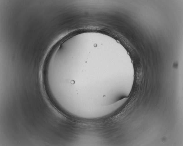 X0000116790726201001151101