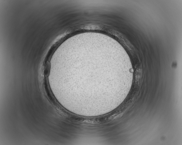 X0000116790727201001151101