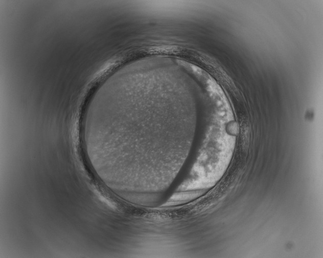 X0000116790729201001151101