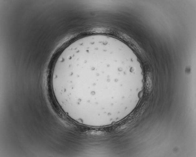 X0000116790730201001151101