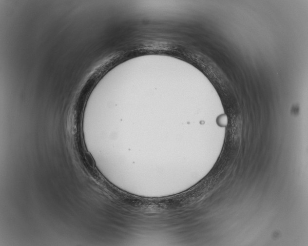 X0000116790731201001151101