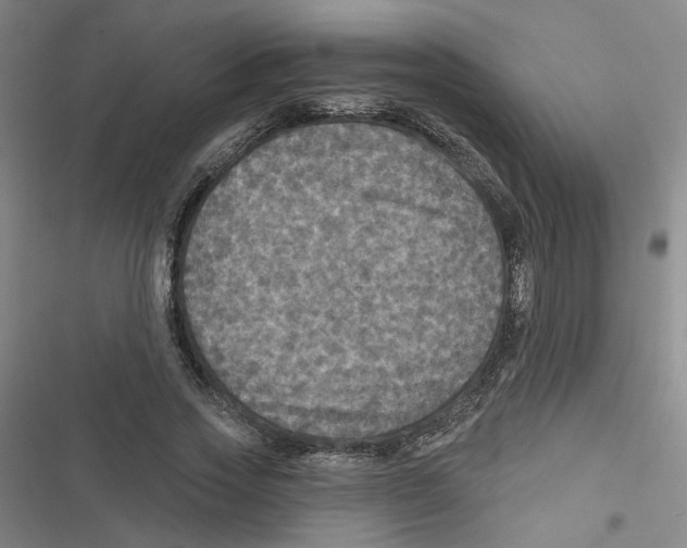 X0000116790733201001151101