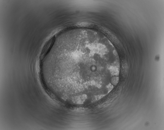 X0000116790734201001151101
