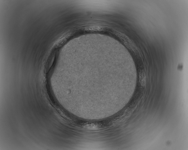 X0000116790735201001151101