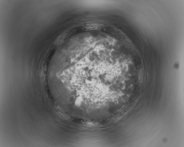 X0000116790737201001151101