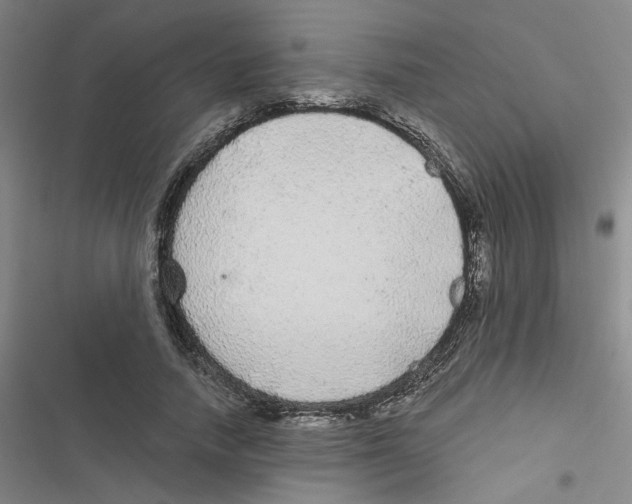 X0000116790738201001151101