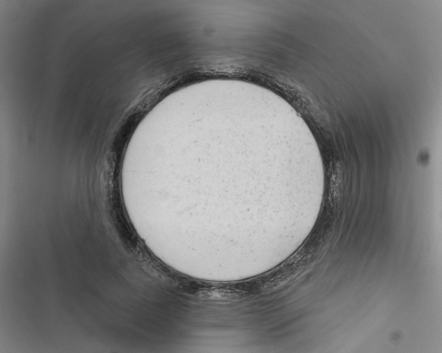 X0000116790739201001151101